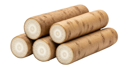 Isolated Pile of Burdock Roots