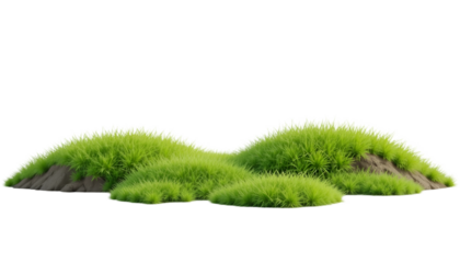 Lush green grass clumps growing on small mounds, creating a vibrant and natural landscape element for design projects and environmental themes isolated on transparent background