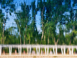 Dramatic trees reflections in summer lake landscape