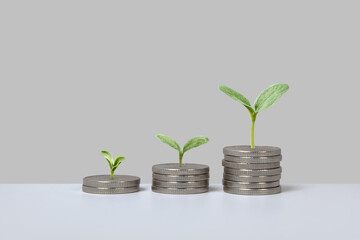 Silver coins in form of graphical steps up and young green seedling are growing of business growth...