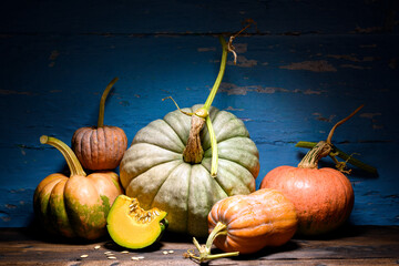 Rustic wooden table with assorted pumpkins forms charming autumn composition. Thanksgiving-inspired...