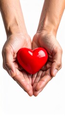 Obraz premium Hands Holding a Red Heart on White Background