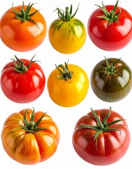 Fototapeta premium Assortment of Colorful Ripe Tomatoes on White Background