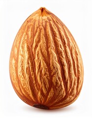 Fototapeta premium Single Brown Almond Nut Closeup on White Background