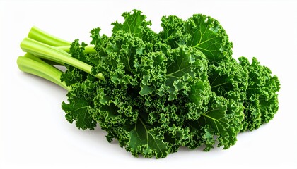 Fototapeta premium Fresh Green Kale Leaves on White Background
