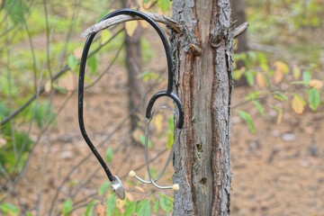 one medical stethoscope hanging on a tree branch pine tree in a summer forest