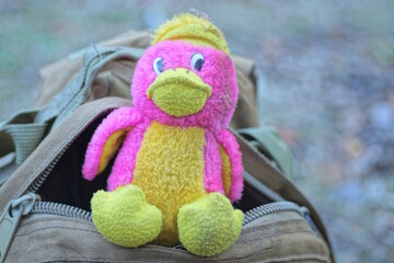 one small colorful plush toy duck sits in pocket of brown backpack bag on summer street