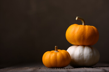 Mini pumpkins in white and orange tones rest on rustic wood against warm brown backdrop. Decorative...