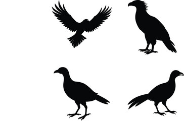 Caracara Silhouette Flying Partially Spread Wings Vector Illustration