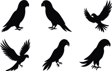 Eclectus Parrot Silhouette Perched Forward Vector Illustration