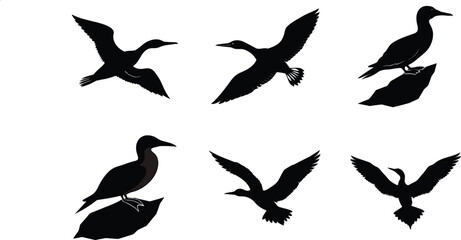 Gannet Silhouette Diving Toward Water Vector Illustration