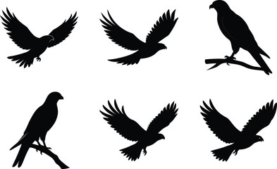 Obraz premium Hawk Silhouette Gliding Curved Wings Vector Illustration