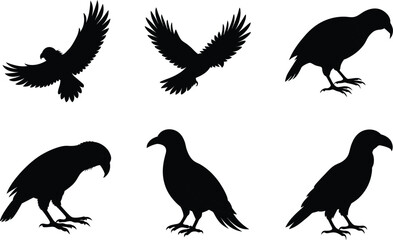 Obraz premium Kea Silhouette Flying Half Extended Wings Vector Illustration