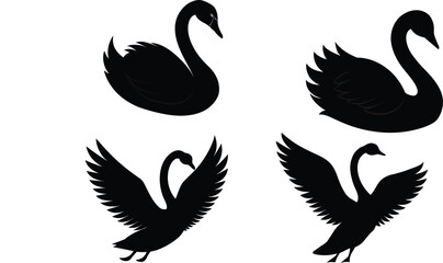 Mute Swan Silhouette Preening Vector Illustration