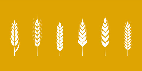 Wheat stalks collection. Vector illustration six distinct white wheat ears or rice isolated on vibrant golden background, ideal for agricultural wheat themes, food packaging or organic products logo.