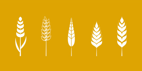 Minimalist wheat vector illustration logo featuring five distinct wheat stalks in white color isolated on vibrant golden background, ideal for agricultural themes, food packaging or organic products.