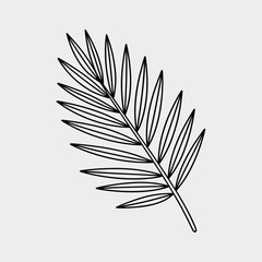 Minimalist line art palm leaf illustration on light background  