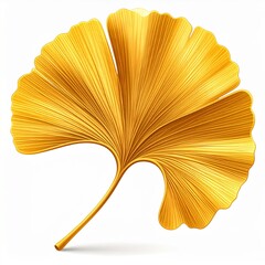 Golden Ginkgo Biloba Leaf on White Background