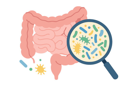 The concept of the gut microbiome is represented by an illustration of human intestine microbiota featuring healthy probiotic bacteria in a flat abstract medical design for a microbiology checkup
