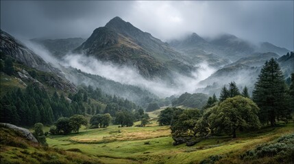 A serene valley unfolds with majestic mountains shrouded in mist. Lush trees and open grasslands enhance the peaceful atmosphere during early morning hours.