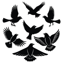 Fototapeta premium Bird Silhouette Vector Illustration Set Six Different Poses Perched and Flying