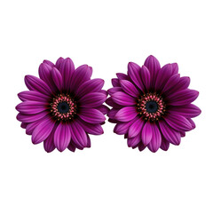 Vibrant Purple Flowers with Detailed Petals and Dark Centers, Perfect for Spring Themes and Nature Backgrounds