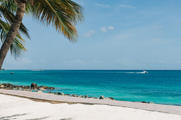 Relaxing beach view with clear blue waters and palm trees on a sunny day