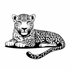 Leopard Lying image vector. Leopard laying down Stock Vector Images