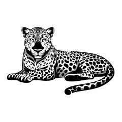 Leopard Lying image vector. Leopard laying down Stock Vector Images