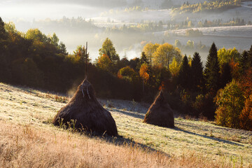 Autumn pasture with haystacks and glowing orange forest wrapped in sunrise fog in the mountains....