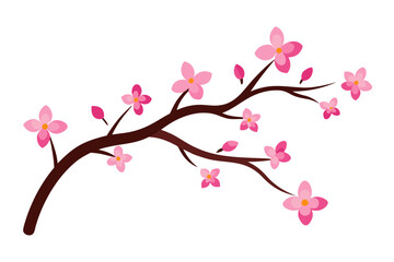 Cherry Blossom Branches on White Background
