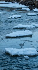 Ice floes float on water near a rocky shore in winter.