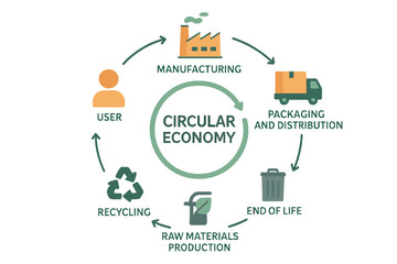The Circular Economy infographic diagram outlines 6 key steps including manufacturing, packaging and distribution, user, end of life, recycling, and raw material production, all guided by Ecology and