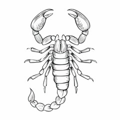 Emperor Scorpion Image vector. Black and white Emperor Scorpion Image isolated on white background.