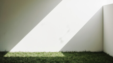 Bright space with grass and modern decor.