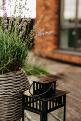 A black lantern next to a potted lavender plant, perfect for a garden scene. A black lantern with glass panes is placed near a potted lavender plant on a wooden surface. Flowering plants on a terrace.