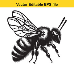 Detailed Black and White Illustration of a Honeybee Vector Graphic for Print or Digital Use Commercial or Personal