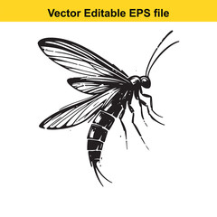 Detailed Sketch of a Sawfly Insect with Intricate Wing Veins and Segmented Body Depicted in Black and White