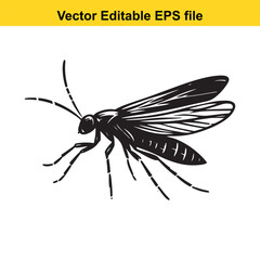 Detailed Vector Illustration of a Mosquito Insect with Wings and Legs in Black and White Doodle Style