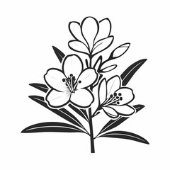 Oleander Flower Image vector. Black and white Oleander Flower Image vector isolated on white background.