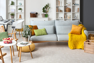 Interior of living room with grey sofa and shelf units