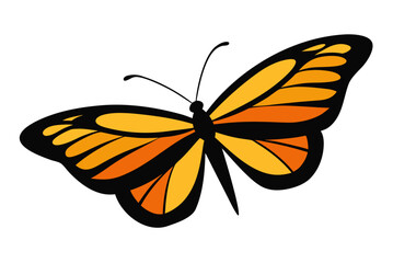 Colorful butterfly vector illustration with intricate wings, isolated on a clean white background