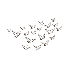 A flock of stylized birds in flight depicted with minimalist black brushstrokes on a white background