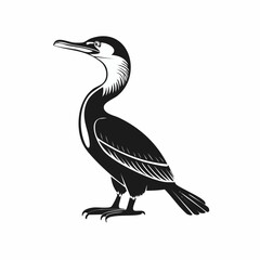 Cormorant Vector Art. Black and white Cormorant Birds Vector isolated on white background.