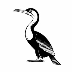 Cormorant Vector Art. Black and white Cormorant Birds Vector isolated on white background.