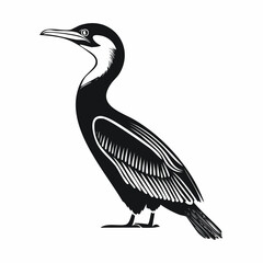 Cormorant Vector Art. Black and white Cormorant Birds Vector isolated on white background.