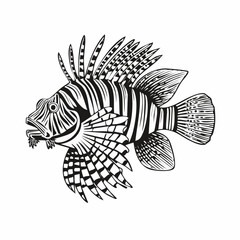 Lion Fish image vector. Illustration of beautiful lion fish image vector. © kalogr