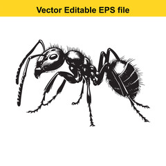 Detailed Black and White Illustration of an Ant Exhibiting Intricate Anatomical Details and Textural Elements in a Vector Style