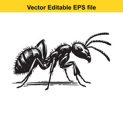 Detailed Black and White Illustration of an Ant Vector Editable Graphic Resource Art