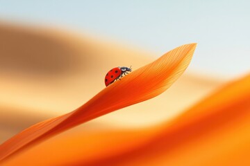 A ladybug climbs a vibrant orange petal, bathed in soft, warm sunlight, a serene nature scene.